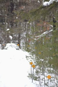 2026 Photo Contest