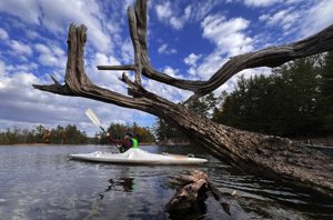 2025 Photo Contest Winners