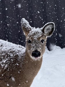 2025 Photo Contest Winners